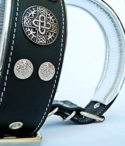 Bestia "Hektor Genuine Leather Dog Collar, Large Breeds, Cane Corso, Rottweiler, Boxer, Bullmastiff, Dogo, 100% Leather, Studded, L- XXL Size, 2.5 Inch Wide. Padded. Europe`s Fnest Dog Gear!