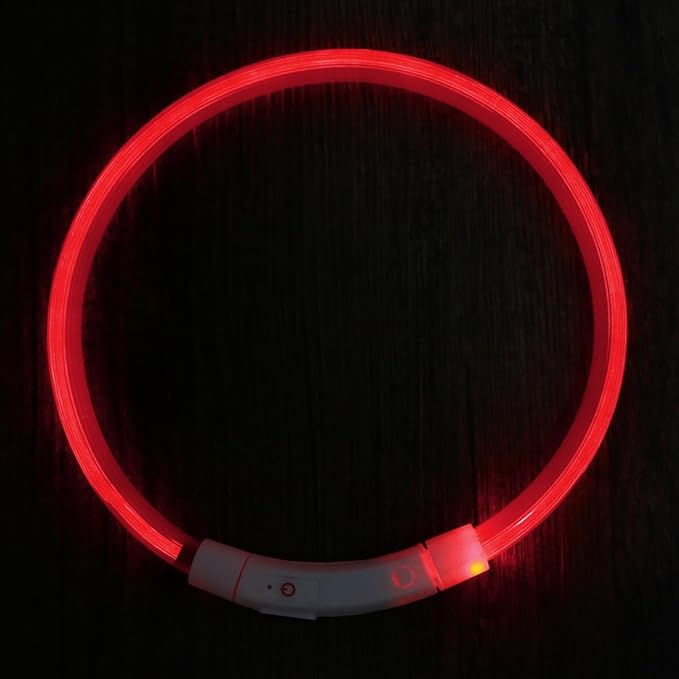 Totority Led Glowing Pet Dog Collar USB Rechargeable -Saving Light for Night Safety for Evening Walks and Outdoor Adventures
