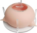 Nursing Station, Pet Feeding Device, Device Whelping, Acrylic Portable Puppy Kitten Dogs Pet Feeder for Kitten Doggie, Pink