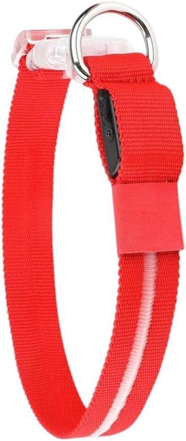 Cherry Red Small LED Dog Collar | Night Walks just got Safer | Ultra-Bright LED Collar | USB Rechargeable | Waterproof | Adjustable & Durable | 4 Light Modes | Keep Your Pup & Yourself Safe!