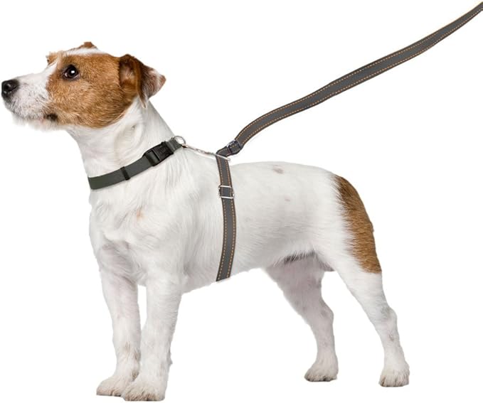 ThunderLeash No-Pull Dog Leash (Large (Over 25 lbs), Grey)