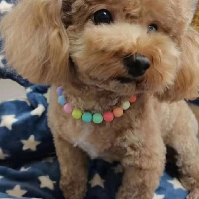 Pet Jewelry Candy Color Dog Pearl Collar Cute Teddy Necklace Jewelryc Chihuahua York Girl Clothing Dress Accessories(10+2.5 in)