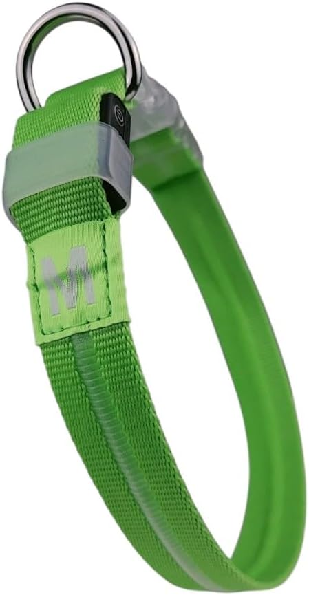 Spring Green Medium LED Dog Collar | Night Walks just got safer | Ultra-Bright LED Collar | USB Rechargeable | Waterproof| Adjustable & Durable | 4 Light Modes | Keep Your Pup & Yourself Safe!