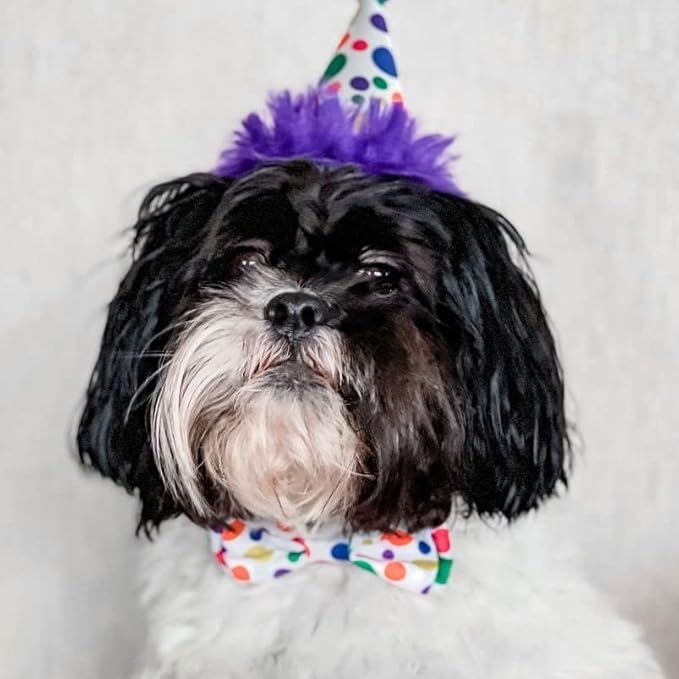 Huxley & Kent Pet Party Hat | Happy Barkday (Small) | Birthday Hat for Dogs and Cats | Adjustable Strap for Comfort and Stability | Perfect for Birthday Party, Adoption Celebration or Gotcha Day