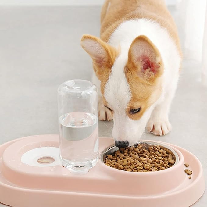Double Dog Cat Bowls, Raised Pets Water and Food Bowl Set with Automatic Water Dispenser Bottle Detachable Stainless Steel Bowl No-Spill Pet Feeder for Small Medium Dogs and Cats Puppy Kitten Rabbit