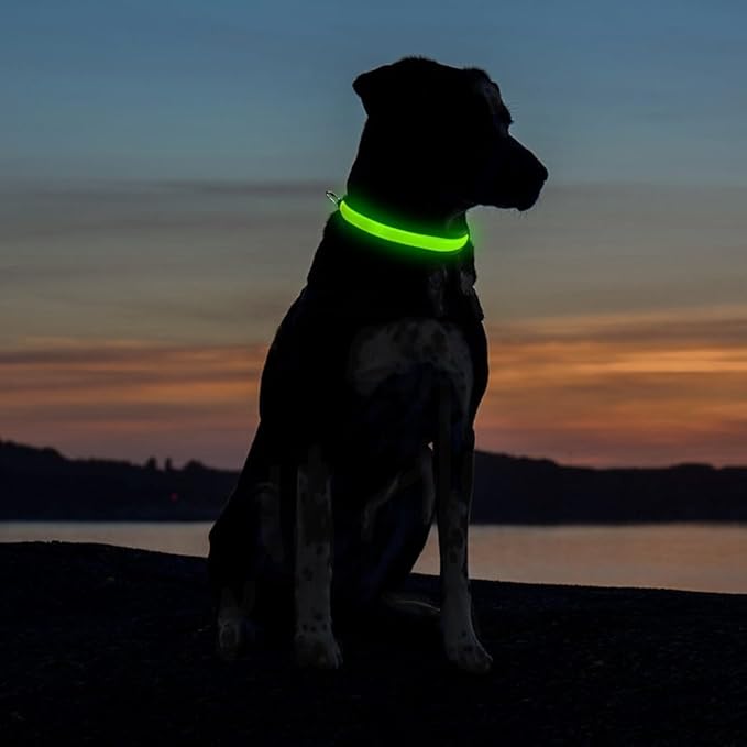 Green Light-Up LED Adjustable Pet Collar (Flashing or Steady Modes) - Rechargeable via USB Cable (Included) by Electronix Express (Large)