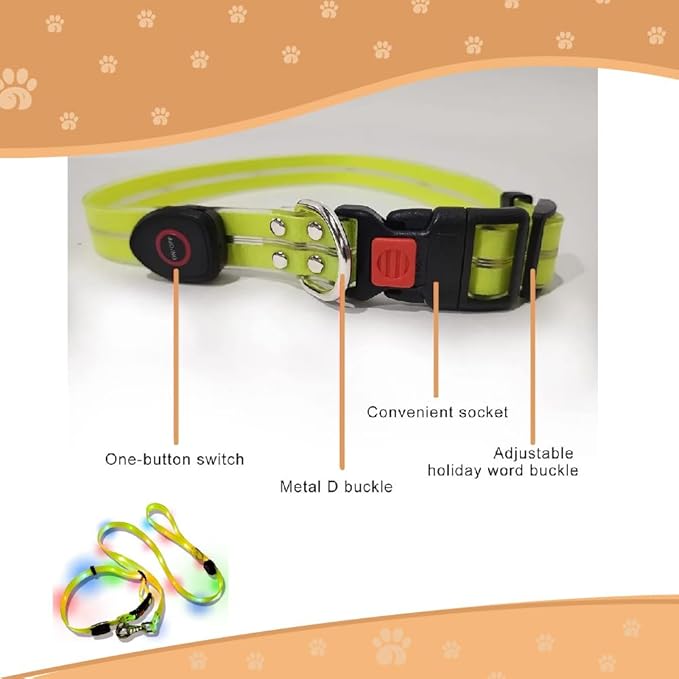 Safety Led Dog Leash for Night Walking - Glow in The Dark - Water Resistant Nylon Webbing - Lightweight and Heavy Duty - USB Rechargeable - RGB Color Changing - Suitable for All Dogs (Orange)