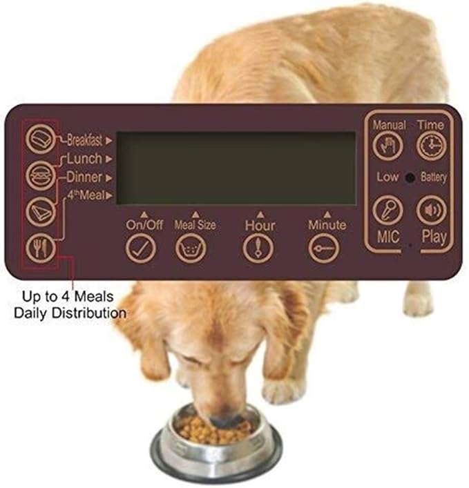 feeders 6L Automatic Convenient Pet Timing Feeder with Voice Recorder Speake LCD Display Infrared Sensor Cat Dog Food Feeding Dispenser