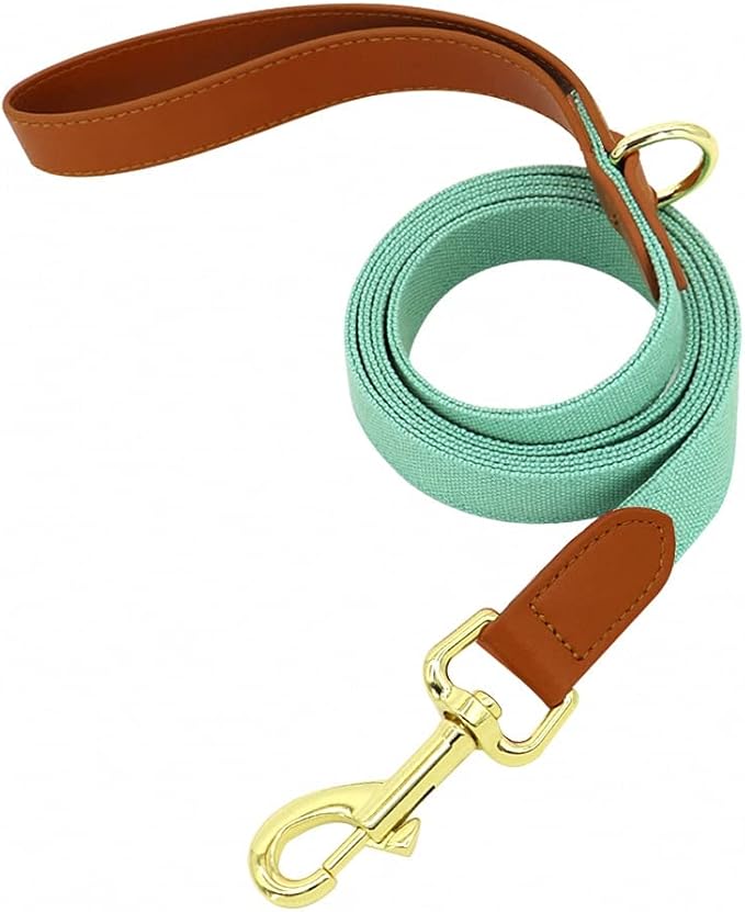 Small Dog Collar Leash Set Nylon Pet Collars Walking Lead Cute Puppy Bowknot Necklace for Small Medium Dogs Cats Adjustable Green Leash M