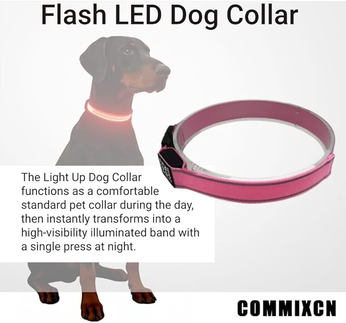 COMMIXCN 2 Pack LED Dog Collar, Light Up Reflective Collar for Small Medium Large Dogs, Universal Use with Standard Buckle, Adjustable for Night Walking Hiking Camping Outdoor (Red)