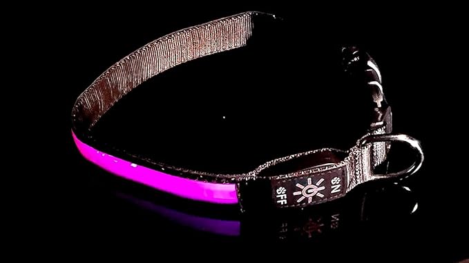 Glow Fetch It! HD Ultra Bright LED Safety Dog Collar, Adjustable, USB Rechargeable with 3 Modes, Water Resistant, Extremely Durable and Easy to Clean (Pink, Medium)