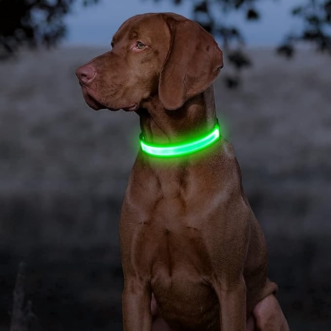 BSEEN Light Up Dog Collars - Rechargeable LED Dog Collar, Adjustable Dog Glow Collar, Reflective Pet Collar, Flashing Dog Lights for Night Walking (Neon Green, Large)