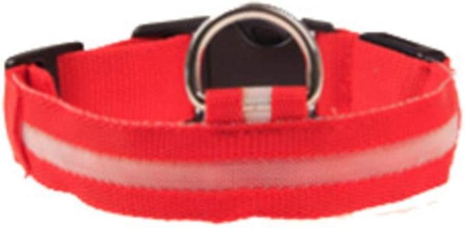 LED Dog Collar USB Rechargeable Safety Dog Collar with Water Resistant Flashing Light 7 Colors Changeable Pet Collar Nylon Webbing Reflective Light Up Collars for Dogs