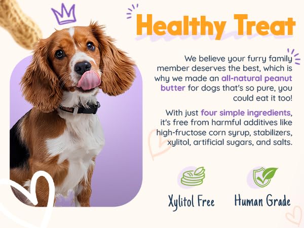 Bark Bistro Company, Superberry Snoot + Barkin Banana + Pumpkin Pup, 100% Natural Dog Peanut Butter, Healthy Dog Treats - Made in USA (Set of 3 / 17oz)