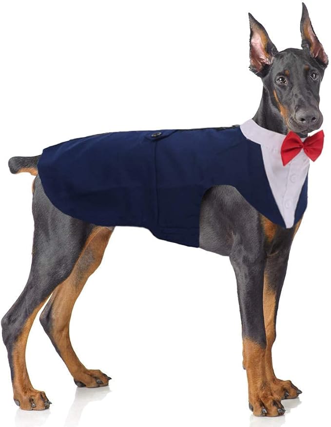 PUMYPOREITY Tuxedo for Large Dogs, Tuxedo and Bandana Set, Formal Wedding Attire, Gentleman Attire With Bowtie for Valentines Christmas Birthday, 2 Pieces/Pack, L, Blue