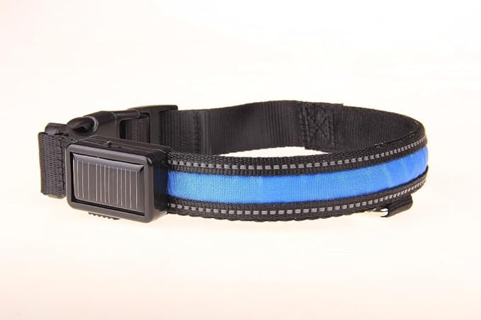LED Dog Collar Light Rechargeable Color Changing, Glow in The Dark Dog Collars Waterproof Glowing Dog Collars for Large Small Medium Dogs (Small, Blue)