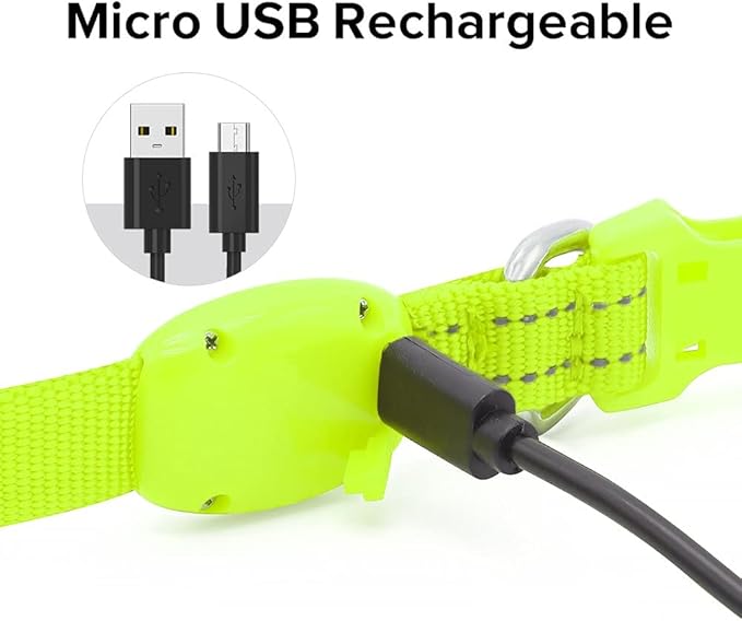 BSEEN Adjustable LED Dog & Cat Collar - Rechargeable, Small Breeds, Green, 8.5-11.8 inches, Nylon, Lightweight, Reflective, 2 Flash Modes
