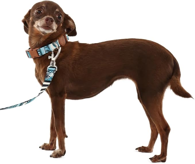 Adjustable Dog Collar with ID Tag – Soft Polyester, Quick Release Buckle – Durable, Waterproof, Cute Dog Collar – Puppy Collar, Stylish Pet Accessories (Noronha, Large)