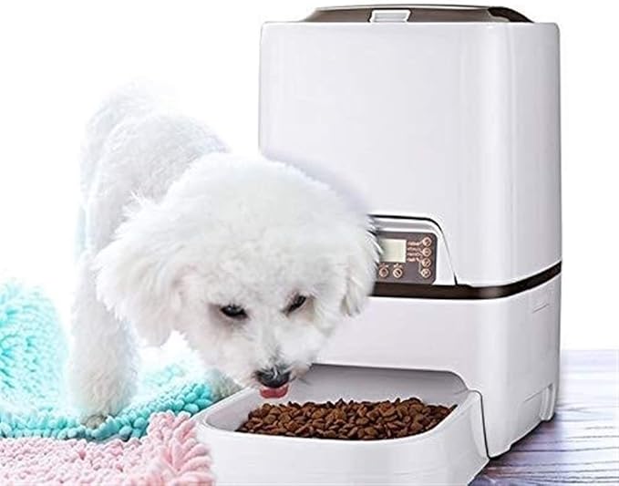 feeders 6L Automatic Convenient Pet Timing Feeder with Voice Recorder Speake LCD Display Infrared Sensor Cat Dog Food Feeding Dispenser