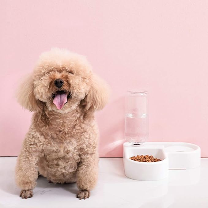 Balacoo Pet Food Feeder Pet Water Feeder Feeding Bowl Dog Drinking Tool Cat Water Dog