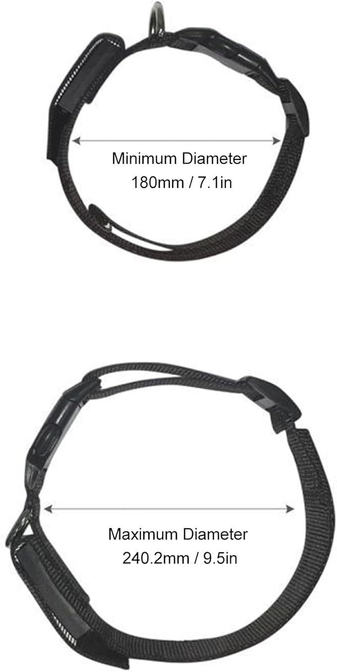 LED Dog Collar Color Light Up Dog Collars BT DIY Text Connection Rechargeable Necklace Webbing Lighted Collar for Camping Night Walking