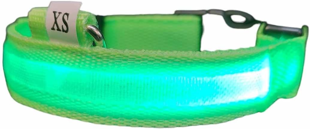 LED Flashing Collars 3 types Flashing or Soild (X-Large, Mint Green)