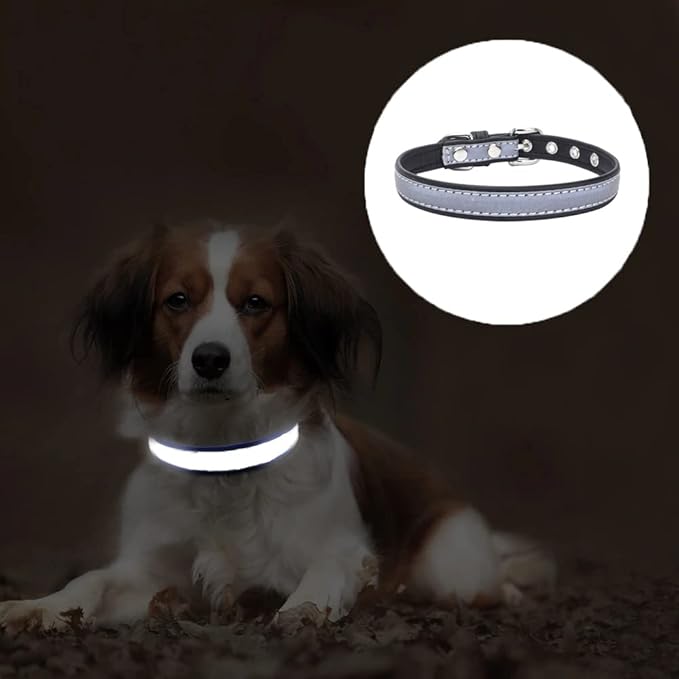 Reflective Small Dog Collar Safer at Night Girl Cat Collars Purple XXL
