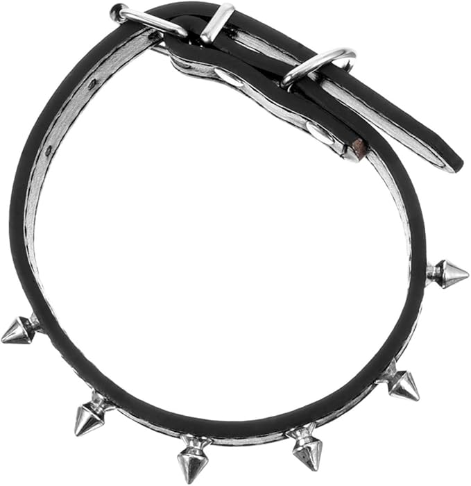 BESPORTBLE Studded Adjustable Leather Dog Collar for Medium Dogs, 2.0cm Wide Sturdy Rivet Puppy Collar for Walking and Training
