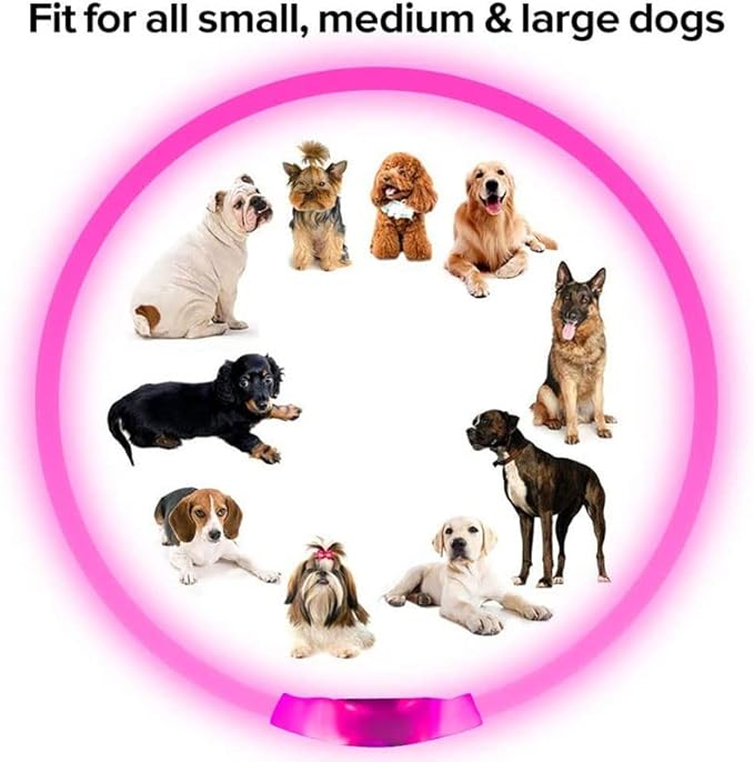 LED Dog Collar - Light Up Dog Collars - USB Rechargeable Lighted Dog Collar, Flashing Dog Collar Lights for Your Dog Walking at Night (Green)