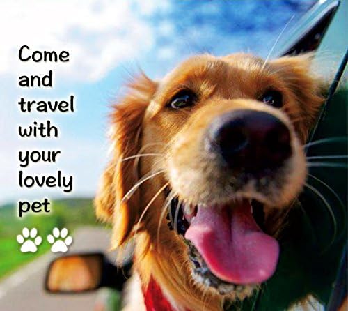 Black Pet Booster Car Seat Breathable Car Seat for Cat Mesh Booster Pet Car Seat Pet Sofa Bed for Small/Medium Dog and Cat Waterproof Material Pet Safety Car Seat Pet Booster Car Seat