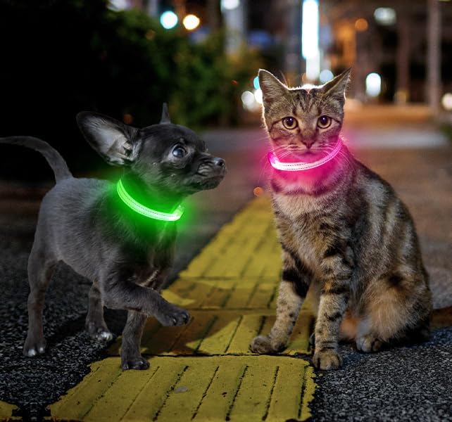 Candofly Light Up Dog Collar for Small Dogs & Cats, Safety Lighted Puppy Collar USB Rechargeable LED Collars for Night Walking Camping (X-Small, Red)