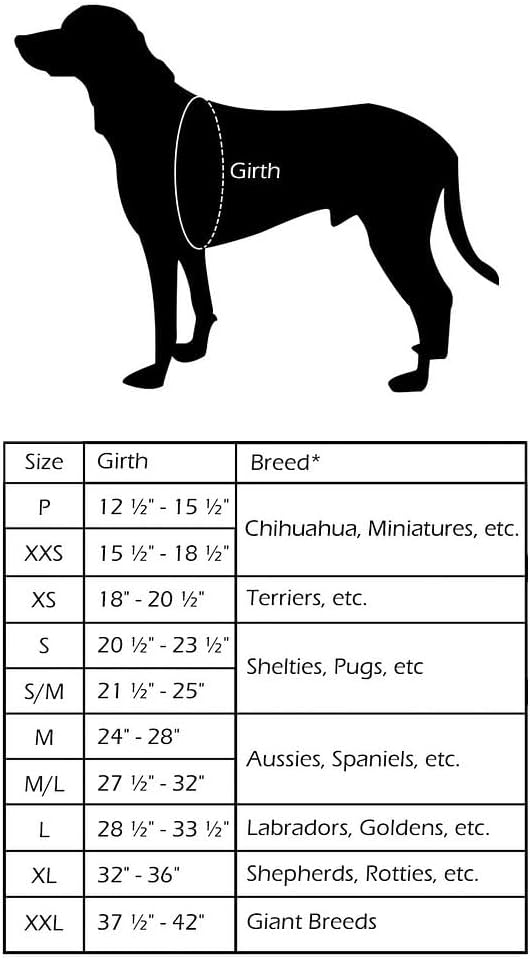 ComfortFlex Sport Dog Harness – No-Choke, Fully Padded, Non-Chafing Harness with Control Handle – Reflective, Lightweight, Adjustable for Active Dogs - Large, Raven Black