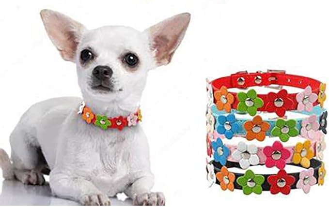 Puppy Dog Collar Colorful Flower Cute Girl Cat Collars with Leash Set XS Small Medium Large