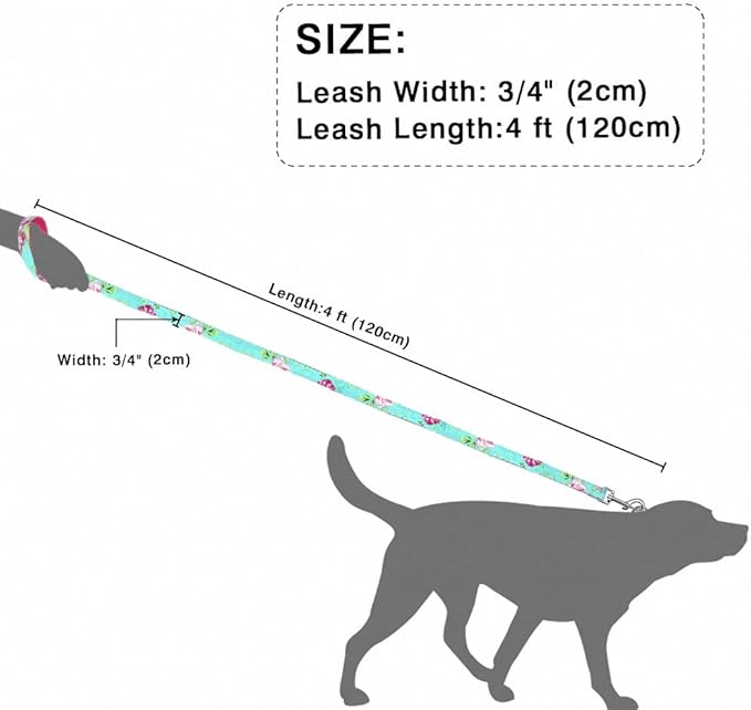 Personalized Dog Collar Leash Nylon Print Small Dog Collars and Lead for Small Medium Large Pet Pitbull German Shepherd Puppy Baby Blue Flower L M