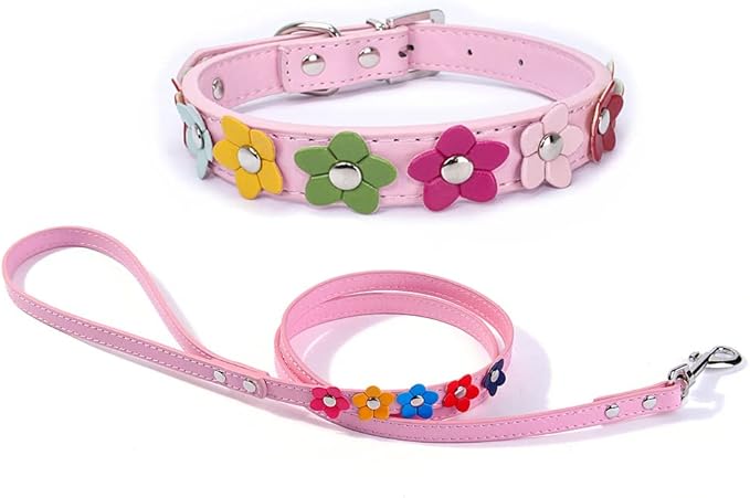 Puppy Dog Collar Colorful Flower Cute Girl Cat Collars with Leash Set XS Small Medium Large