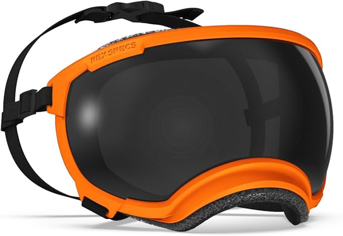 Rex Specs V2 Dog Goggles (Appalachian Orange, Medium)
