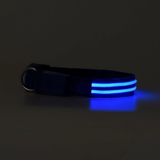 LED Dog Collar - USB Rechargeable for Night Safety(Neon Blue Color,Small Size)