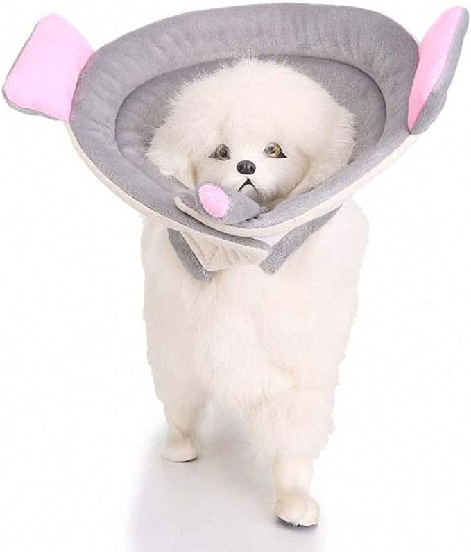 Lakke Flower Colorful Pet Dog Necklace Collar Various Pattern Shape Puppy Playing Collars for Small Dog Grey S