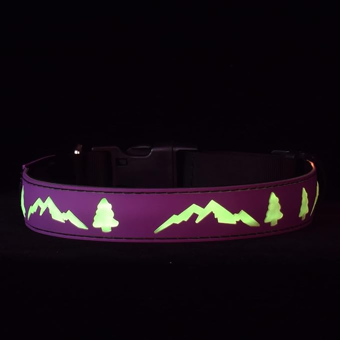 LED Dog Collar, 15 Light Modes, USB-C Rechargeable, Silicone Material, Adjustable Size, (Purple, M(11.8-15.7"))