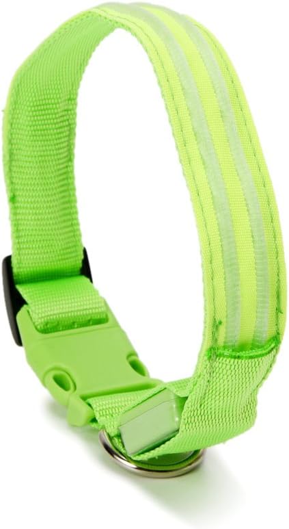 LED Dog Collar - USB Rechargeable for Night Safety(Neno Green Color,Large Size)