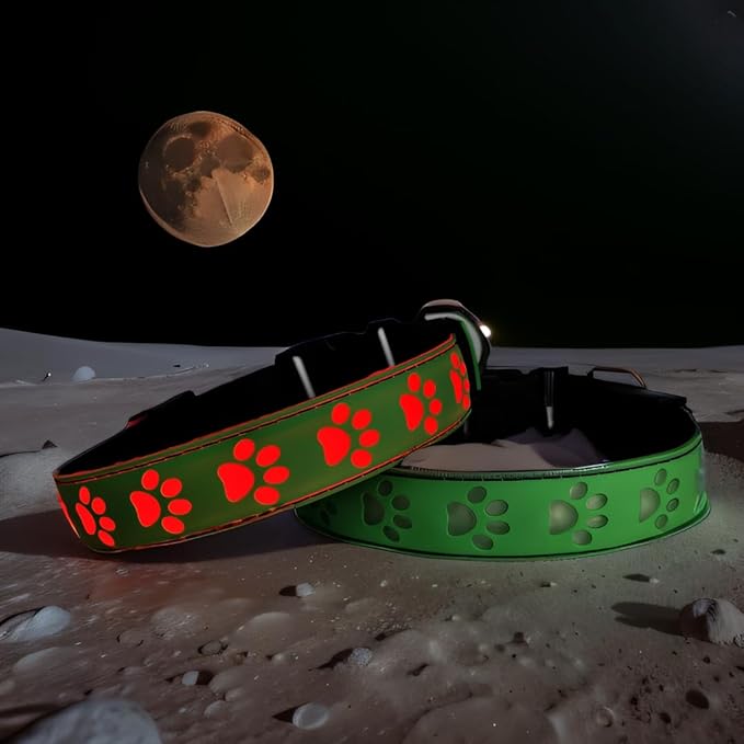 Personalized Dog Collar with Waterproof airtag Holder for Night Walk, USB C Rchargeable Light up, Adjustable Glowing Collar for Dogs (Green 15MODES, XL(19.7-23.6"))
