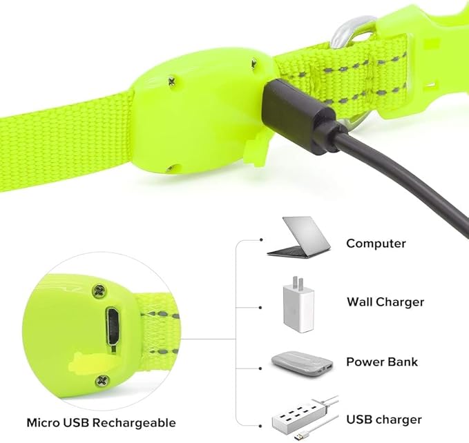 BSEEN Light Up Dog Collars - Glowing LED Dog Collar Rechargeable Puppy Collar for Small Dogs & Cats, Safety Dog Lights for Night Walking (Green)