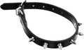 Gadpiparty Rivet Dog Collar Medium Size 2.0cm Wide Black Sturdy Studded Leather Collar for Walking and Training Small to Medium Pets