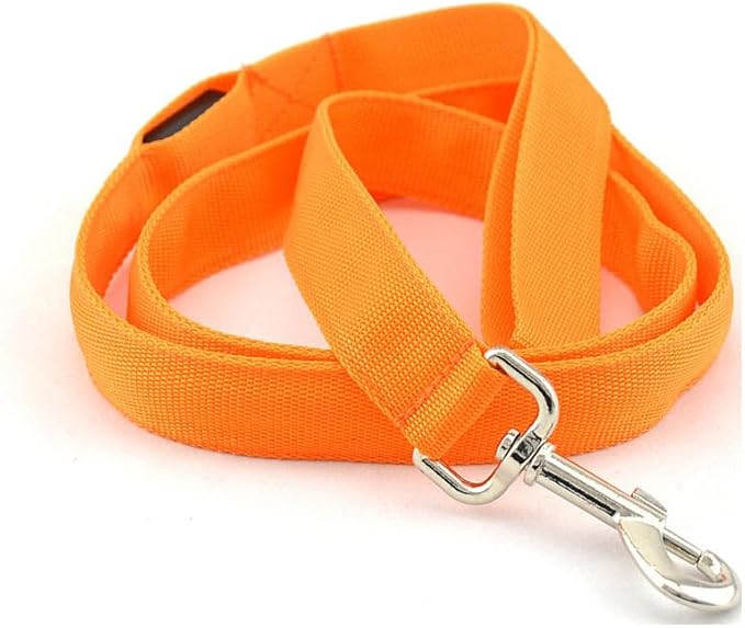 Generic Pet Led Dog Glow in Dark Adjustable Luminous Collar Rechargable Light Up Dog Leashes (Orange)