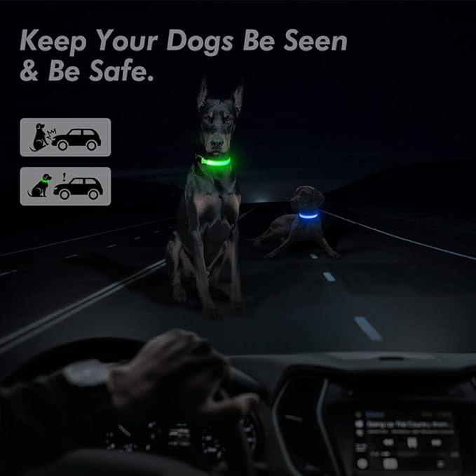 BSEEN Light Up Dog Collar, Rechargeable LED Dog Collar Reflective Pet Glow Collar Dog Lights for Night Walking (Neon Green, Medium)