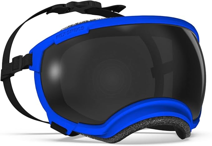 Rex Specs V2 Dog Goggles (Balkan Blue, Medium)