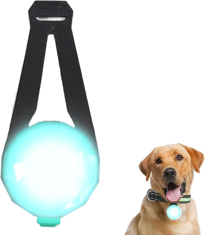LED Collar Charm Light,Dog Collar Lights for Night Walking,Dog Night Light, Pet Safety Light for Outdoor, 3 Light Modes,USB Rechargable (1 Count, Green)