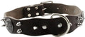 BESPORTBLE Pet Collar Leather Necklace for Medium to Large Dogs Stylish Design Accessory for Pets