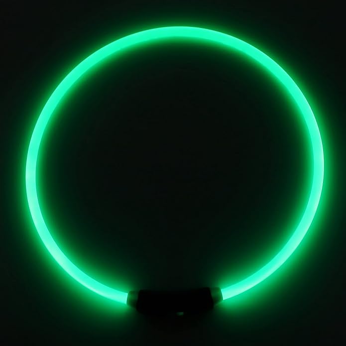 VINGVO Light Up Dog Collar, Glow In The Dark Dog Collar Glowing Pet Collar for Medium Small Dogs Dog Light Up Collar USB Rechargeable LED Collar for Night Walking Lighted Dog Collar
