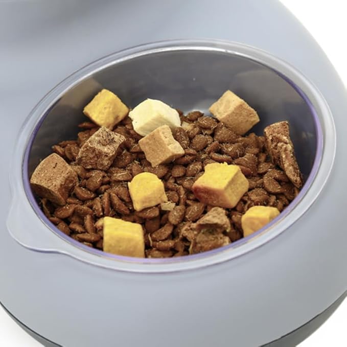 Pet Food and Water Bowl Set, Large Capacity Crescent Type Tilt Design Automatic Double Pet Bowls with Skid Resistance Bottom, Pet Feeder Automatic Gravity Water Dispenser for